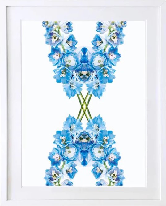 Delphinium Framed Botanical Art Print by Lola Design