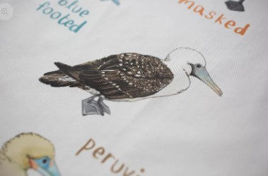 Boobies Cotton Kitchen Apron / Nature Inspired Gift for Cooking Enthusiasts / Bakers / Pun Inspired Homeware