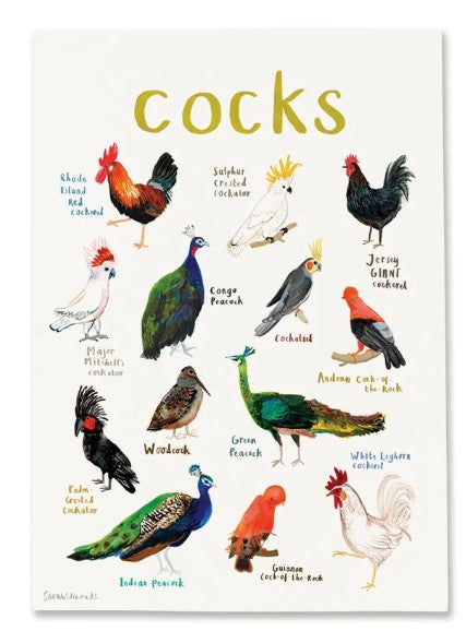 Cocks Bird and Nature Inspired Pun Art Print – Fun Gift for Nature Lovers | Kitchenware & Home Decor