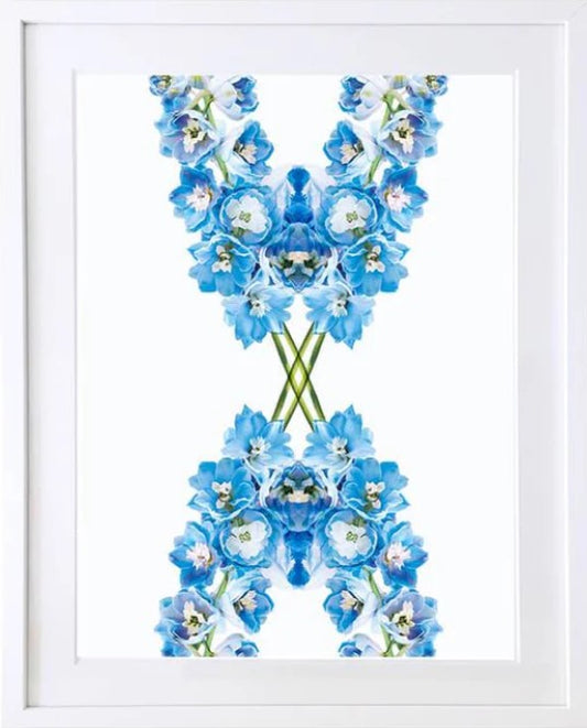 Delphinium Framed Botanical Art Print by Lola Design