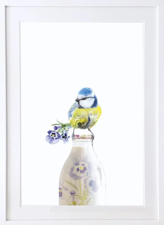 Blue Tit Bird on Milk Bottle Botanical Art Print by Lola Design